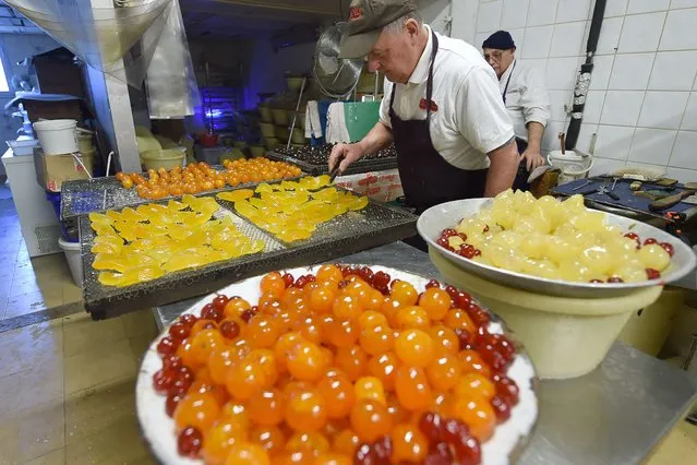 Andre Icard and Rene Clavel, confectioners working at “Clavel”, work on the glazing of pinapples during the preparation of candied fruits on December 22, 2014 in Carpentras. The candied fruit is part of the 13 traditional deserts in the Provence region, south eatern France. (Photo by Boris Horvat/AFP Photo)