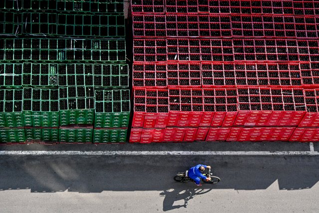 A man cycles past beer kegs inside the Hanoi Brewery, which produces the Hanoi Beer brand owned by the state company Habeco, in Hanoi on September 23, 2025. (Photo by Nhac Nguyen/AFP Photo)