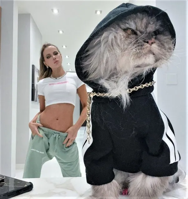 English actress and model Kate Beckinsale and her in-costume cat in the second decade of April 2023 beg for followers to “get up on this”. (Photo by kate beckinsale/Instagram)