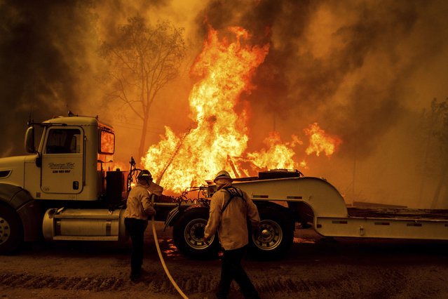 Firefighters spray water as the Park Fire tears though the Cohasset community in Butte County, Calif., on Thursday, July 25, 2024. (Photo by Noah Berger/AP Photo)