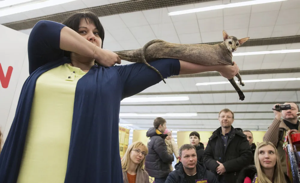 The Week in Pictures: Animals, January 16 – January 22, 2015