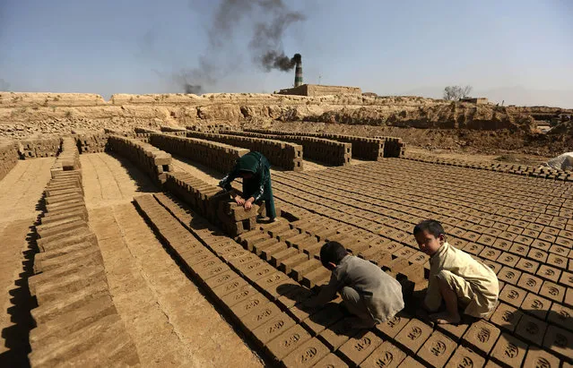 Afghan children help their father's work at a local brick factory on the outskirts of Kabul, Afghanistan, Monday, September 19, 2016. (Photo by Rahmat Gul/AP Photo)