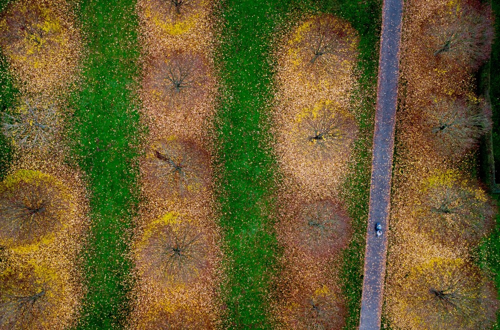 Pictures of the Year 2024, Part 214/2406