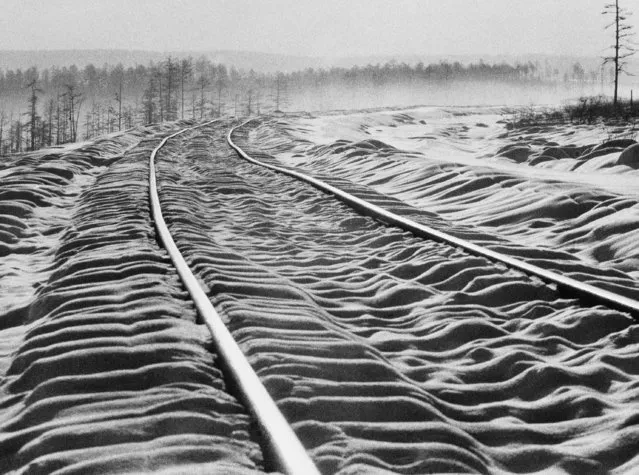 Snow ripples over sleepers between curving rails on the new Trans-Siberian railroad, October 28, 1978. Across some of the world's most inhospitable terrain 100,000 Soviet builders are at work on a second trans-Siberian railroad. It will be 2,000 miles long, running through a region plagued by mudslides and earthquakes, through 1,800 miles of permafrost and seven mountain ranges, through regions where winter last for nine months and the temperature can drop to 60 degrees below zero Celsius. (Photo by Boris Yurchenko/AP Photo)