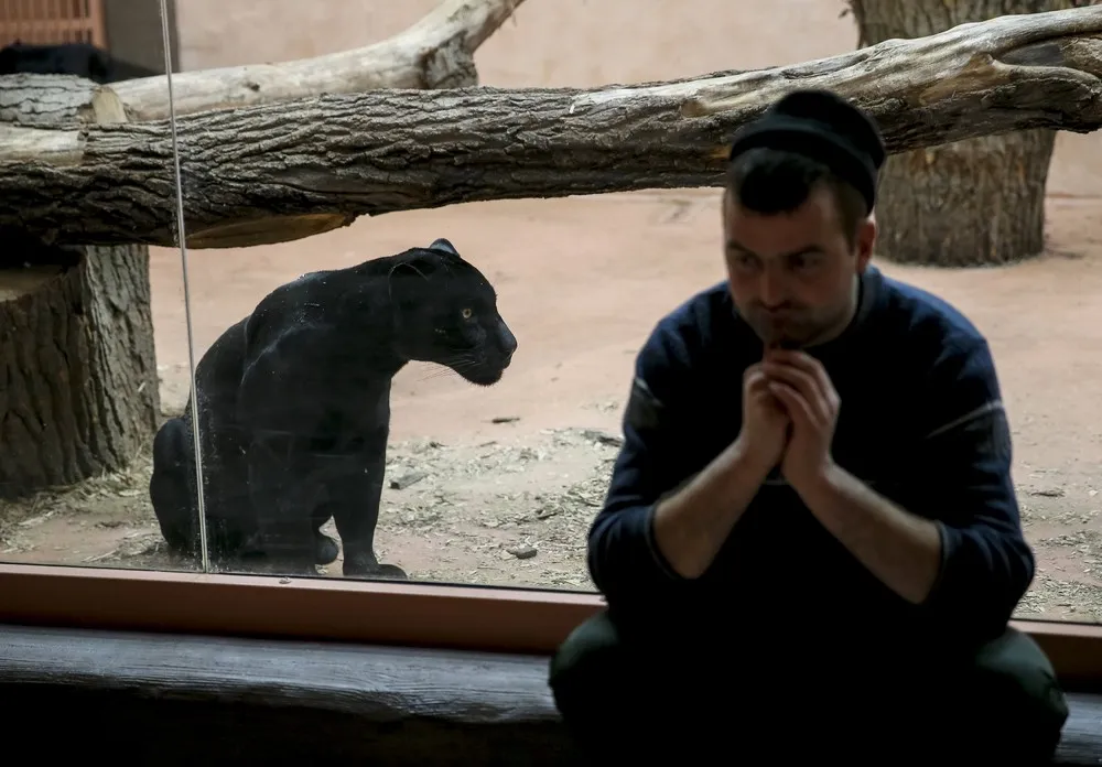 Simply Some Photos: Private Zoo in Ukraine