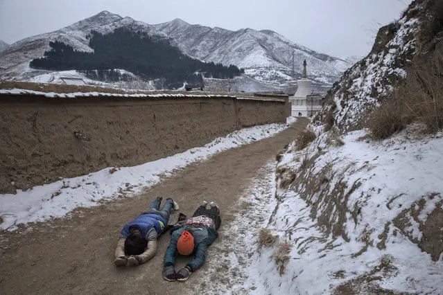 Tibetan Buddhists prostrate themselves as they perform Kora during a pilgrimage for Monlam or the Great Prayer rituals on March 4, 2015 at the Labrang Monastery, Xiahe County, Amdo, Tibetan Autonomous Prefecture, Gansu Province, China. (Photo by Kevin Frayer/Getty Images)