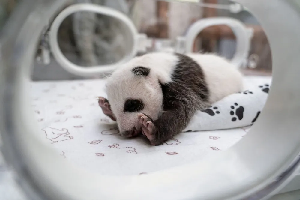 A Look at Life in Russia