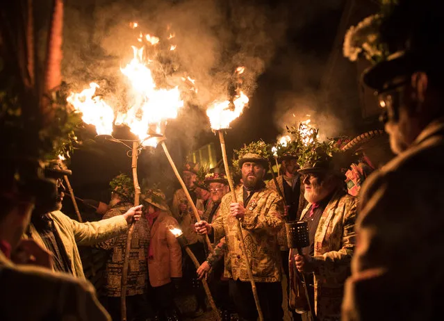 Members of the Leominster Morris lead the crowd from the Hobson Brewery in Frith Common to the nearby apple orchard to take part in a torchlit Oldfields Orchard Cider wassailing ceremony ahead of today's Twelfth Night on January 4, 2017 near Tenbury Wells in Worcestershire, England. The annual tradition sees morris dancers and mummers gather before a procession to a local orchard to perform a ceremony that involves placing a cider-soaked piece of Christmas cake on the branches of an apple tree and sprinkling cider around its roots, before lighting torches, dancing and singing the Wassail Song as to ensure a good crop of cider apples for the year ahead. The tradition of wassailing, which differs from place to place in cider producing counties, has its roots in ancient pagan traditions and is held on various dates after Christmas as a plea to the spirits of the orchard to provide a good crop, is seeing something of a modern revival as cider makers across the West Country reintroduce the ritual of toasting their apple trees for good luck. In the UK, January 5th is generally observed as the last day of Christmas festivities as it is the eve of the Epiphany. (Photo by Matt Cardy/Getty Images)