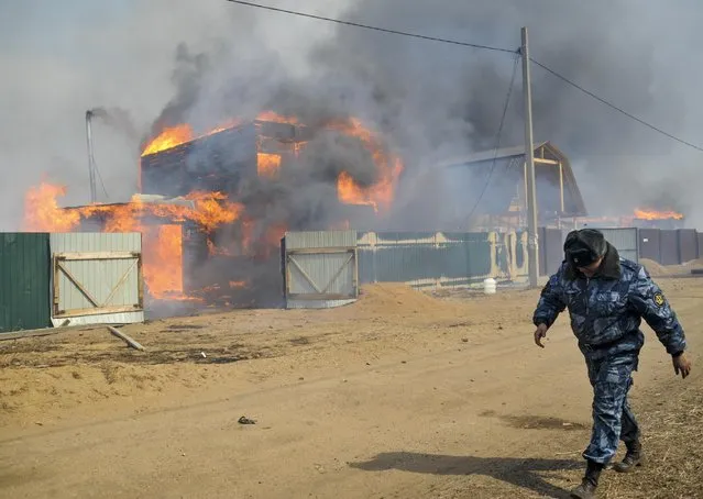 A police officer walks along a street of the burning village of Smolenka near Chita on Monday, April 13, 2015. Russian authorities say out-of-control agricultural fires have killed at least 15 people, injured hundreds more and destroyed or damaged more than 1,000 homes in Siberia. The fires were started by farmers burning the grass in their fields, but spread quickly because of strong winds. (Photo by Evgeny Yepanchintsev/AP Photo)
