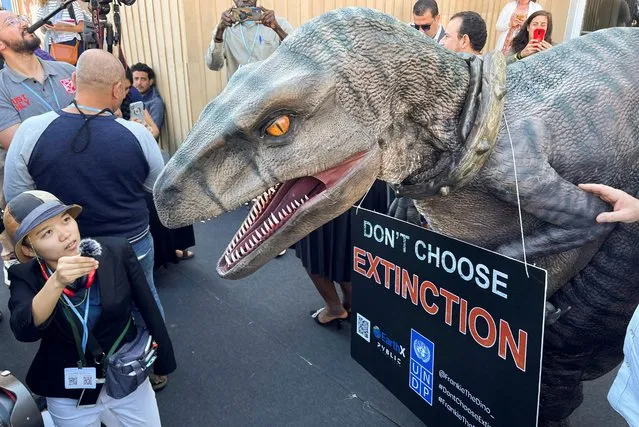 Frankie the dinosaur visits the COP27 climate summit in the Red Sea resort of Sharm el-Sheikh, Egypt on November 10, 2022. (Photo by Mohammed Salem/Reuters)