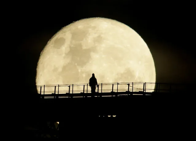 A man walks on the top span of the Sydney Harbour Bridge as the supermoon enters its final phase in Sydney, Australia, November 15, 2016. (Photo by Jason Reed/Reuters)