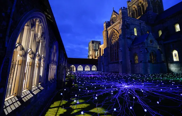 1,000 stems of colour-changing lights on display in the cloisters of Chichester Cathedral in United Kingdom on Saturday, November 27, 2021 as part of an an immersive art installation by British artist Bruce Munro titled “Field of Blooms”. (Photo by Andrew Matthews/PA Images via Getty Images)
