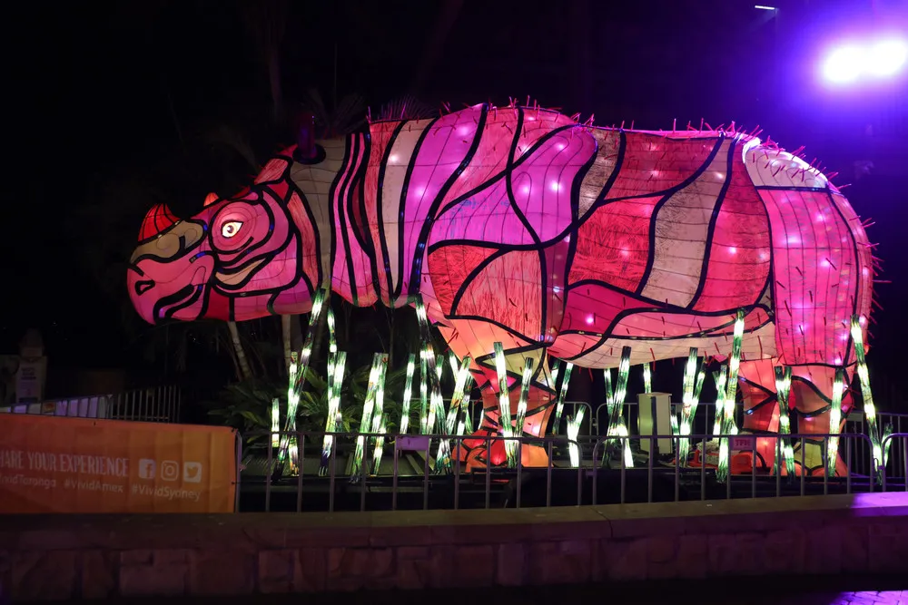 Vivid Sydney 2019