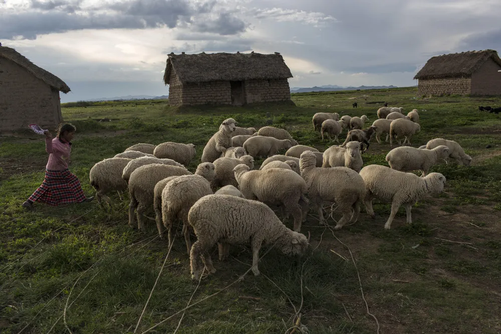 Lake Titicaca