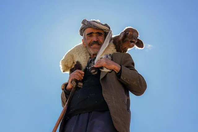 A shepherd, holding a lamb, is seen in Gurpinar district of Van, Turkiye on March 30, 2022. Norduz sheep, which are among the significant germplasm of Turkiye and therefore the number of which is aimed to be increased with the state-funded projects. Directorate of Agriculture and Forestry of Van has started work to protect the breed and increase the number of Norduz sheep, which have one more rib than regular sheep and have higher meat and milk yield. Projects are impelling to rise the number of small cattle and to protect local breeds due to the fact that Van ranks first in Turkiye in terms of small cattle. (Photo by Ozkan Bilgin/Anadolu Agency via Getty Images)