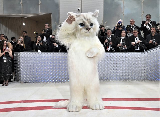 American actor and musician  Jared Leto attends The Metropolitan Museum of Art's Costume Institute benefit gala celebrating the opening of the “Karl Lagerfeld: A Line of Beauty” exhibition on Monday, May 1, 2023, in New York. (Photo by Evan Agostini/Invision/AP Photo)