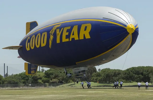 Grounds grew secure the Goodyear blimp “Spirit of America” as it lands in Carson, California August 5, 2015. (Photo by Mike Blake/Reuters)