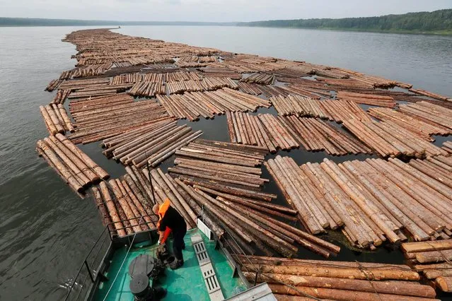 A bargeman works onboard a tow boat, which pulls a 750-metre-long (2461 feet) timber raft to the Novoyeniseisk wood processing plant down the Angara river near the Siberian village of Strelka in Krasnoyarsk region, Russia, July 12, 2016. Timber rafts or tied logs of the high quality Angara pine and larch are transported for about 500 kilometres (311 miles) from the areas of industrial wood felling in Taiga forest to the Novoyeniseisk wood processing plant, located on the bank of the Yenisei River in Lesosibirsk. The plant exports timber to Europe, Northern Africa and Asia, according to representatives. (Photo by Ilya Naymushin/Reuters)
