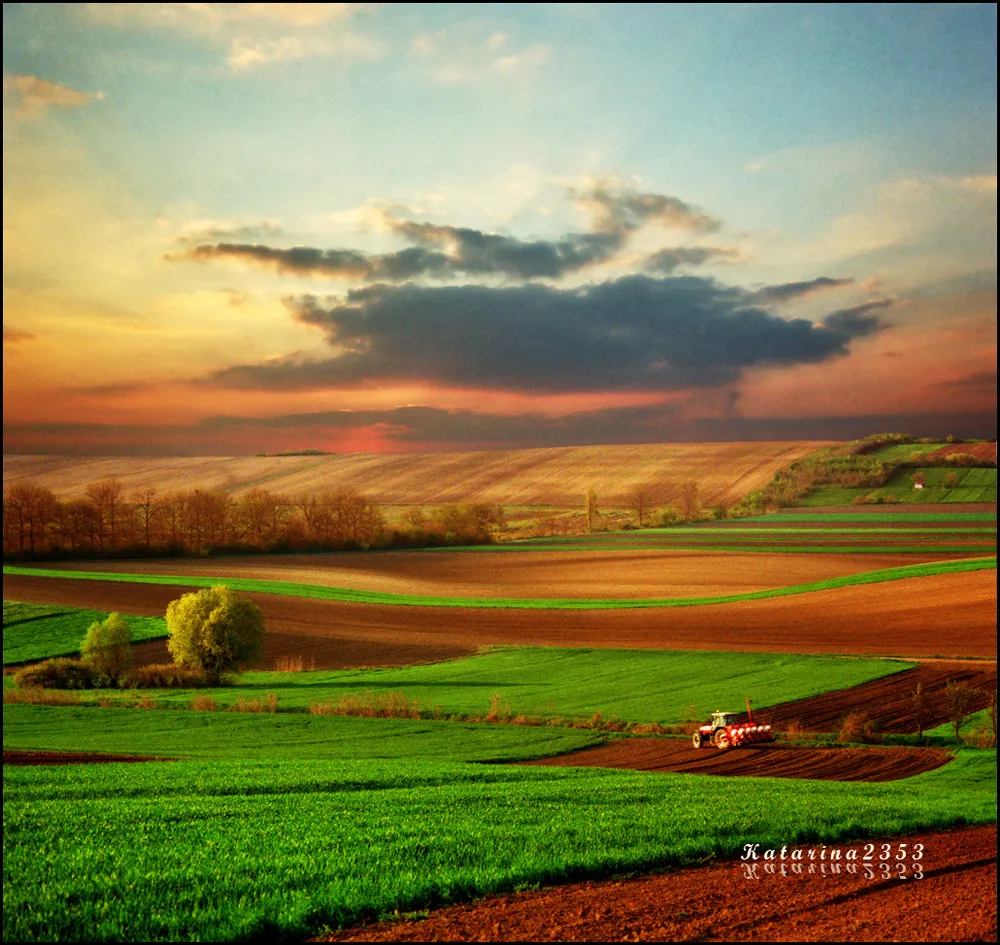 “Dreamland”. Landscapes by Katarina Stefanović