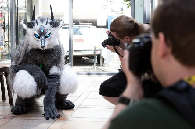 A participant of the 20th Eurofurence poses for photographs in Berlin, Germany, August 23, 2014. Around 1,900 fans of anthropomorphic animal forms are meeting for the conference at Estrel Hotel from 20 until 24 August 2014. (Photo by Joerg Carstensen/EPA)