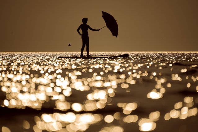 A woman steers her stand-up paddle board using an umbrella as a sail at Ladoga lake near the city of Olonets, 300 kilometers (186 miles) north-east of St. Petersburg, Russia, Friday, July 22, 2022. (Photo by Dmitri Lovetsky/AP Photo)