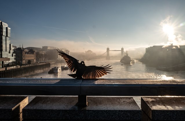 One winter morning in London, UK, February 2023. (Photo by Andy Hall/The Guardian)