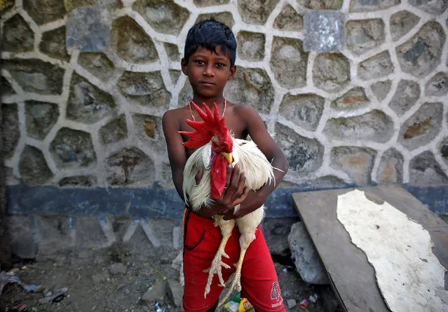 Virat, a six-year old boy holds his pet rooster as he poses at a slum in Mumbai, on November 1, 2017. (Photo by Shailesh Andrade/Reuters)
