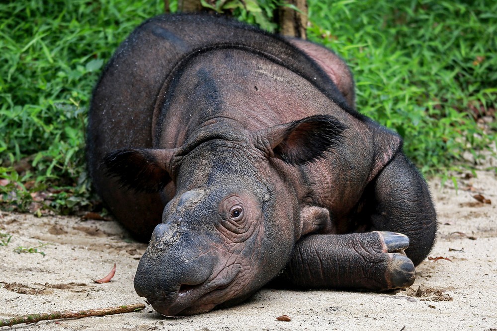 A Look at Life in Indonesia