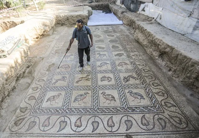 A Palestinian man inspects a Byzantine-era mosaic floor that was uncovered recently by a Palestinian farmer in Bureij in the central Gaza Strip on October 18, 2022. The Palestinian farmer says he stumbled upon it while planting an olive tree last spring and quietly excavated it over several months with his son. Experts say the discovery of the mosaic floor – which includes 17 well-preserved images of animals and birds – is one of Gaza's greatest archaeological treasures. They say it's drawing attention to the need to protect Gaza's antiquities, which are threatened by a lack of resources and the constant threat of fighting with Israel. (Photo by Mahmoud Issa/SOPA Images/Rex Features/Shutterstock)