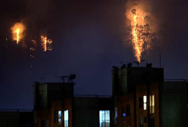 Flames rise from a forest during a wildfire in Bogota on January 24, 2024. More than twenty forest fires have Bogota and several regions of Colombia on alert amid record temperatures due to the El Niño phenomenon, according to an official report on Wednesday. (Photo by Guillermo Munoz/AFP Photo)