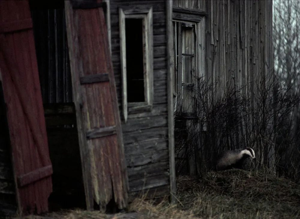 The House in the Woods by Kai Fagerstrom