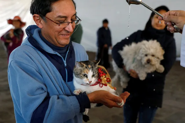 A man with a cat receives a blessing from a priest in Xochimilco in Mexico City, Mexico, January 17, 2018. (Photo by Carlos Jasso/Reuters)