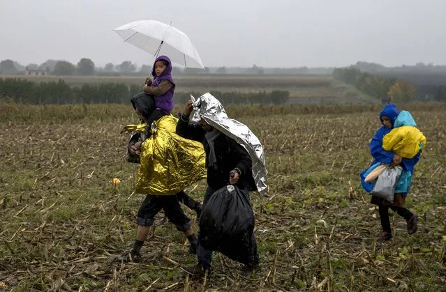 Migrants protect themselves from the rain as they walk through a field close to the border with Croatia near the village of Berkasovo, Serbia, October 19, 2015. (Photo by Marko Djurica/Reuters)