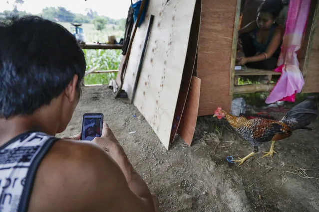Ronnel Manjares, left, looks at a picture of his son Kobe saved in his smartphone outside their house of their relative in Tanauan, Batangas province, Philippines, Wednesday, July 15, 2020. His 16-day-old son Kobe was heralded as the country's youngest COVID-19 survivor. But the relief and joy didn't last. Kobe died on June 4 from complications of Hirschsprung disease, a rare birth defect. (Photo by Aaron Favila/AP Photo)