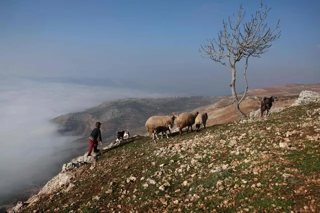 A Syrian boy walks next to sheep in the Jabal al-Zawiya region in Syria's rebel-held northwestern Idlib province, overlooking the Al-Ghab Plain in central Syria, on January 23, 2023. (Photo by Omar Haj Kadour/AFP Photo)