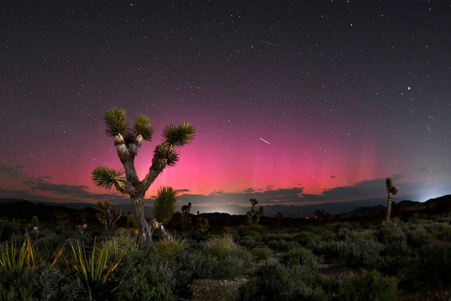 A geomagnetic storm lights up the night sky above the desert outside of Las Vegas, Nevada on May 11, 2024. Places as far south as Alabama and New Mexico were able to see the aurora borealis, also known as the northern lights from a powerful geomagnetic storm that reached Earth. (Photo by David Becker/ZUMA Press Wire/Rex Features/Shutterstock)