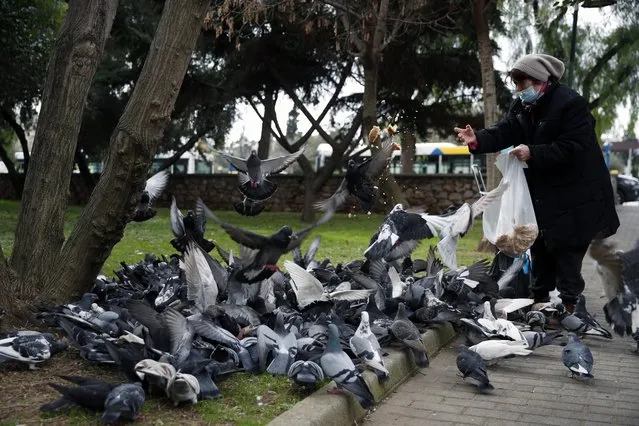 A woman wearing a face mask to prevent the spread of coronavirus, feeds pigeons at a park in Athens, Friday, January 22, 2021. Greece's government has extended nationwide lockdown measures indefinitely as a nightly curfew, domestic travel restrictions and stay-at-home orders will all remain in effect after being first imposed in early November. (Photo by Thanassis Stavrakis/AP Photo)