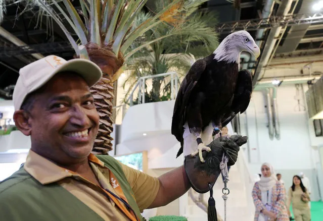 A Bald Eagle at the Experience Abu Dhabi booth at The Arabian Travel Market 2023. World Trade Centre, Dubai on May 1, 2023. (Photo by Chris Whiteoak/The National)