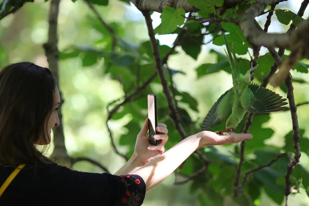 Pictures of the Year 2020, Part 59/82