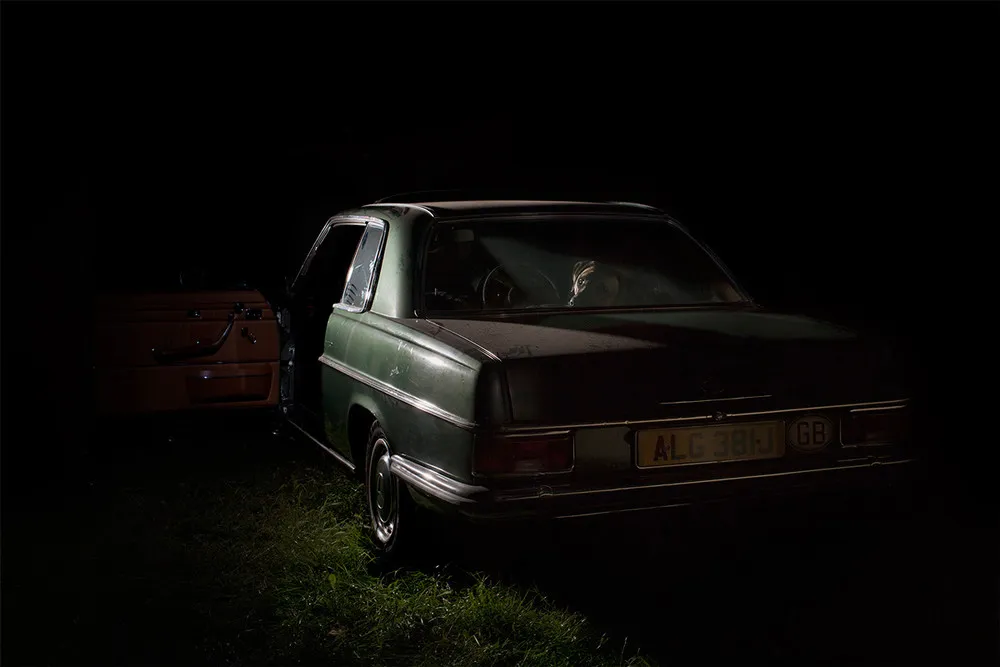 The Silence of Dogs in Cars