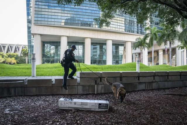 Officers with bomb dogs sweep the area at the Wilkie D. Ferguson Jr. federal courthouse building on Sunday, June 11, 2023, in Miami, FL. (Photo by Jabin Botsford/The Washington Post)