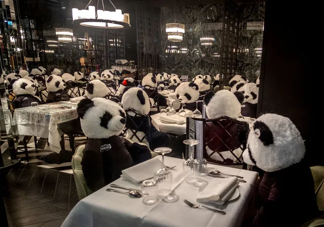 The owner of a closed restaurant has placed plush panda bears at the tables in central Frankfurt, Germany, Tuesday, February 23, 2021, as Germany is still in a partiallockdown. (Photo by Michael Probst/AP Photo)