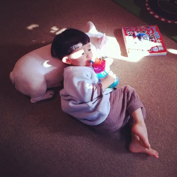 Japanese Boy and His Bulldog