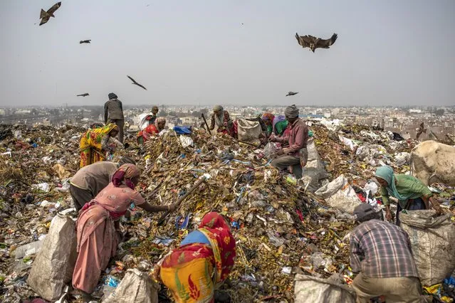 Trash collectors look for recyclables at Bhalswa landfill on the outskirts of New Delhi, India, Wednesday, March 10, 2021. An estimated 20 million people around the world help keep cities clean by scavenging through landfills and dumps. Experts say these trash pickers, who sometimes toil alongside paid municipal sanitation workers, provide a vital service, yet they usually are not on a priority list for vaccines against the coronavirus. (Photo by Altaf Qadri/AP Photo)