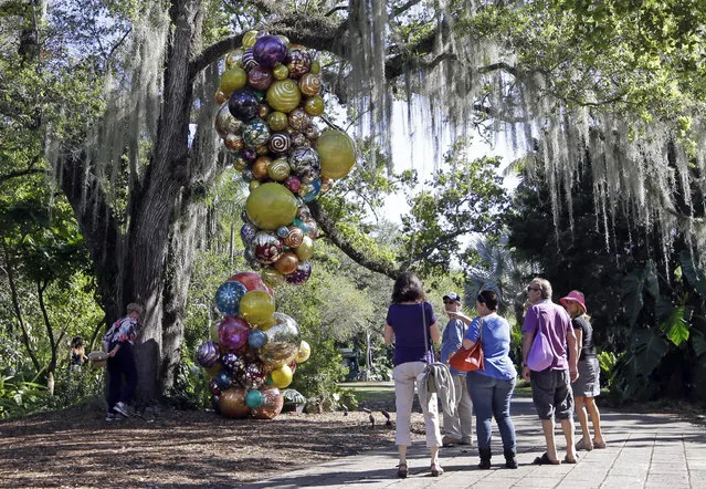 Visitors check out Polyvitro Chandelier, 2006, a polyvitro and steel sculpture by Dale Chihuly Wednesday, February 11, 2015, at Fairchild Tropical Botanic Garden in Coral Gables, Fla. (Photo by Alan Diaz/AP Photo)