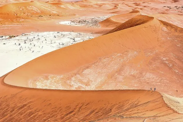 Walkers are dwarfed as they are surrounded by golden sand while trekking through a desert. The photo were taken by Marco Tagliarino at the Namib Sand Sea desert in Namibia in the last decade of June 2023. (Photo by Marco Tagliarino/Solent News)
