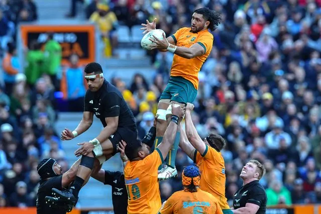 Australia's Rob Leota (C) takes in the lineout ball during the Rugby Championship & Bledisloe Cup Test match between Australia and New Zealand at Forsyth Barr Stadium in Dunedin on August 5, 2023. (Photo by Sanka Vidanagama/AFP Photo)