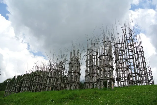 Cathedral Made From Trees By Giuliano Mauri