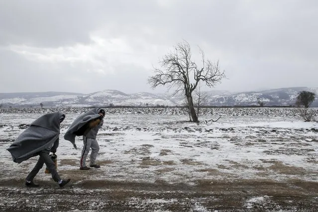 Migrants walk through a frozen field after crossing the border from Macedonia, near the village of Miratovac, Serbia, January 18, 2016. (Photo by Marko Djurica/Reuters)