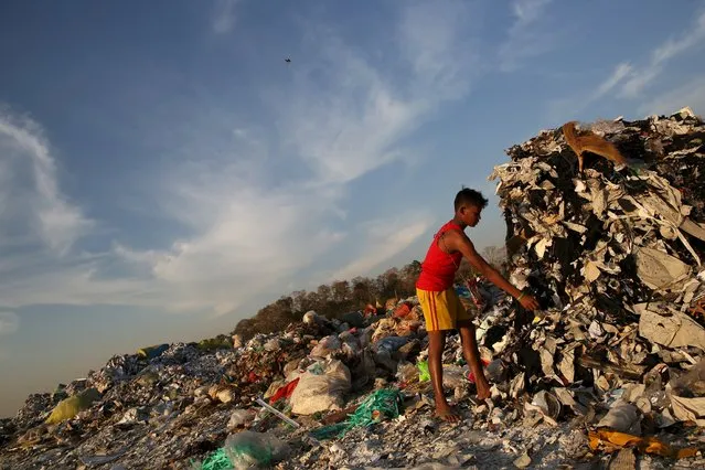A boy looks for recyclable waste at a rubbish dump outside Yangon January 7, 2016. (Photo by Soe Zeya Tun/Reuters)
